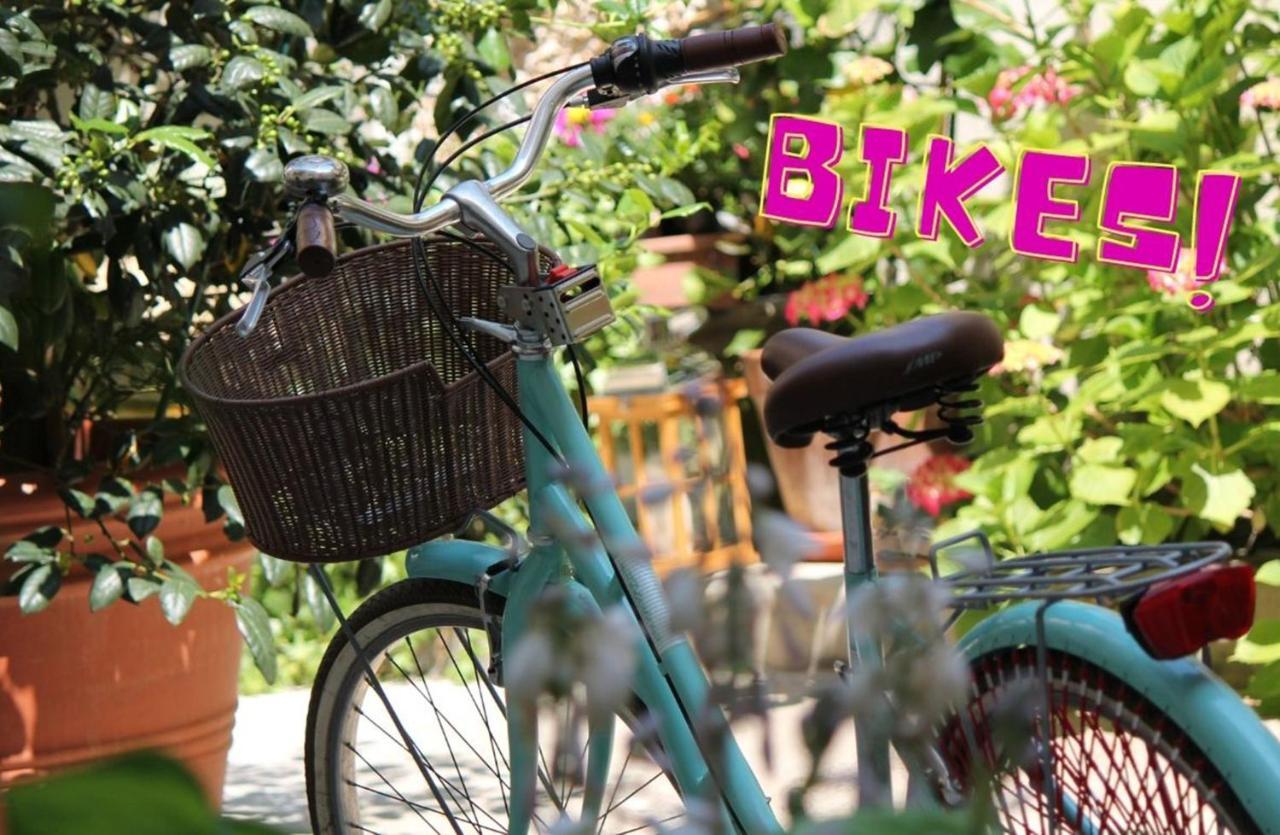Il Cortile Di Elisa & Our Flats Bed and Breakfast Λούκα Εξωτερικό φωτογραφία